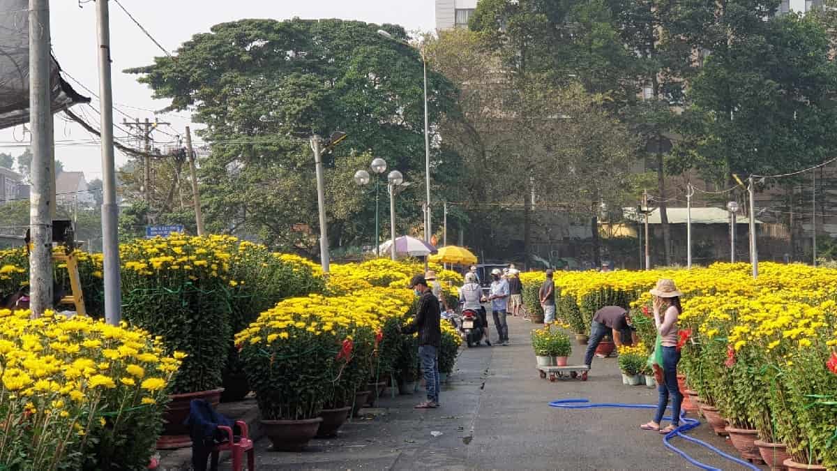Vé xe Tết Nguyên Đán 2026